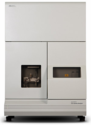 Generalüberholter DNA Sequencer ABI PRISM® 310 Genetic Analyzer in einsatzbereitem Zustand. Unsere Geräte werden mit neuem Laser, komplett und detailliert überholt inklusive Installation, Anwendertraining am Gerät, der Auswertesoftware und Biochemieoptimierung sowie 12 oder 24 Monaten Garantie verkauft. Wir setzen auch nach dem Kauf alles daran, Sie mit Ihrem ABI 310 rund um glücklich zu machen.