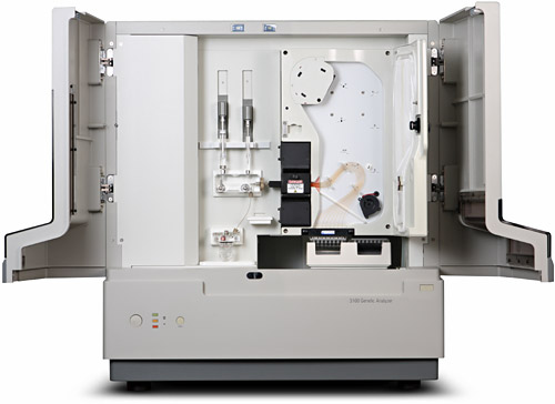 Generalüberholter DNA Sequencer ABI PRISM® 3100 Genetic Analyzer in einsatzbereitem Zustand. Unsere Geräte werden mit neuem Laser, komplett und detailliert überholt inklusive Installation, Anwendertraining am Gerät, der Auswertesoftware und Biochemieoptimierung sowie 24 Monaten Garantie verkauft. Wir setzen auch nach dem Kauf alles daran, Sie mit Ihrem ABI 3100 oder 3100-Avant rund um glücklich zu machen.